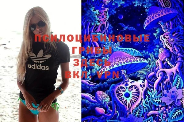 мяу мяу мука Армянск