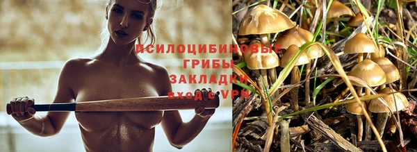 круглые Арсеньев
