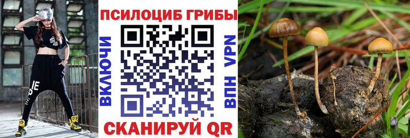 Галлюциногенные грибы GOLDEN TEACHER  Лысково 